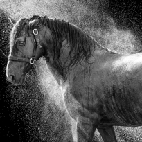 Secrets of All the Oceans