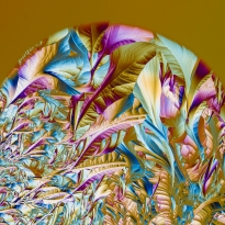 Abstracts from crystals