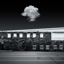 Semiahmoo Library of Imagination