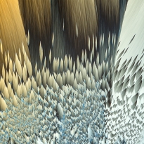 Kojic ACID, INSIGHTS INTO THE HIDDEN WORLD OF MICROCRYSTALS IN POLARIZED LIGHT.