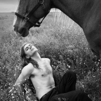 Horses As Meditation