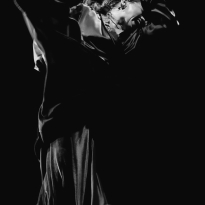 Dancing emotions at flamenco rhythm