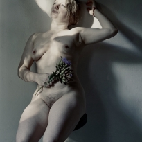 The Extraordinary Artichoke 