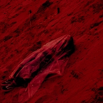 Forced Simulation Project