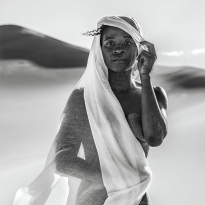 Gazelle in the Dunes