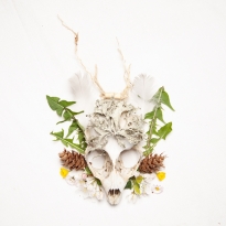 Mythical creatures from the coast of Saaremaa