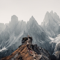 The animal influencers