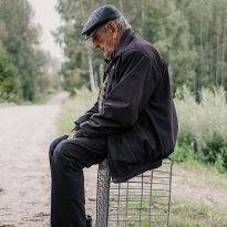 Meat, dry food for Rex, ice cream, sausage, toilet paper.