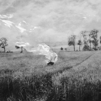 Wandering In The Fields