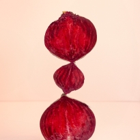 ''Borsch Theme Installations'' 