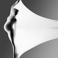 Pregnancy Study #1104