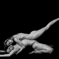 Human Body Study #1424