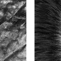 Nature and Human Body