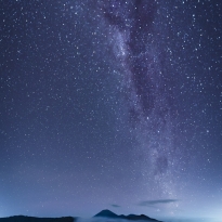 Majestic Silhouettes