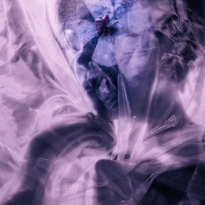 Eternal fall and a light