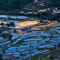 Dreamy Duoyishu Terraced Fields
