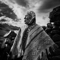 An Alpaca Farming Community