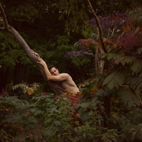 My heart is a dark forest