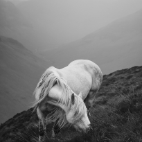 Spirit of the Highlands