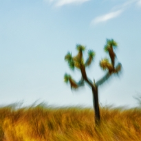 Kinetic Ambiguity Project, Land Series, Vistas Segment