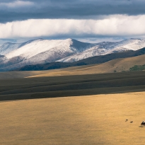 The Majesty of Tranquility