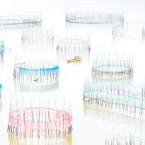 Multicolored fishnet