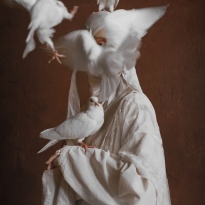 Shape-shifting story