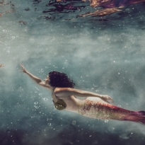 il canto della sirena