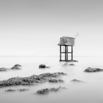 The silence of France