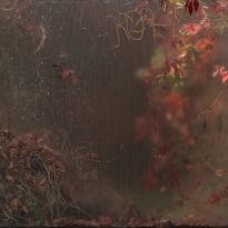 Vivarium humanicum ingens