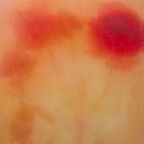 Flowers� Disco 2023