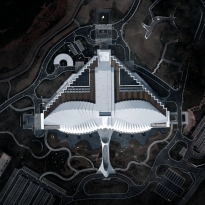 Migratory birds homing