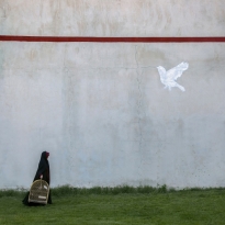 The screams of the walls