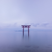 Two crows over the shrine