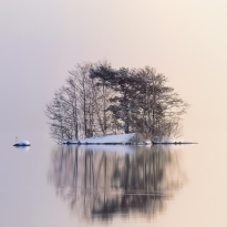 The arrival of winter