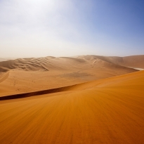 Namib desert, Namibia.