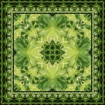 Solomon Seal in Fern Bed