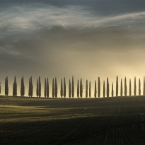 Moment of Bliss in Tuscany