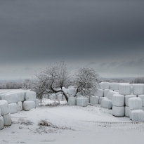 Winterized Hay Bale Mounds