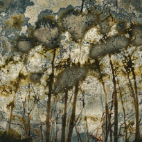 The Psychology of Trees