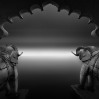 Echoes of Time: Ancient Elephant Pair