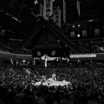 Tenacity and Tradition