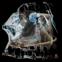 Burnt, Fragmented Moments