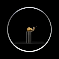 When Nature Meets Technics