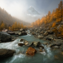 ''Point of Convergence ''