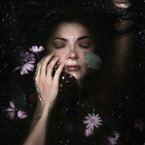 Fragile and Fleeting