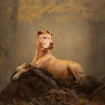 Her Red Royal Highness