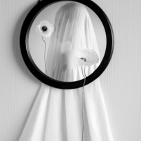 A Reflection of Inner Peace