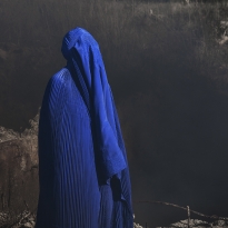 In the eye of the storm