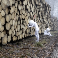 Where are we heading